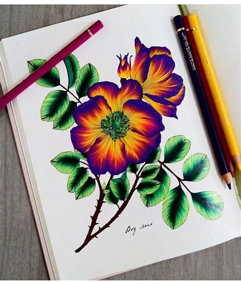 √ Color Pencil Flower