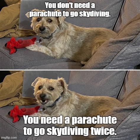 parachute and skydiving - Imgflip