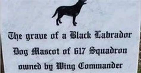 Memorial to Dambusters dog has racial slur removed - LancsLive