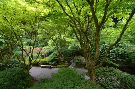 Portland Japanese Garden - DiLiLAH - Digital Library of Landscape ...