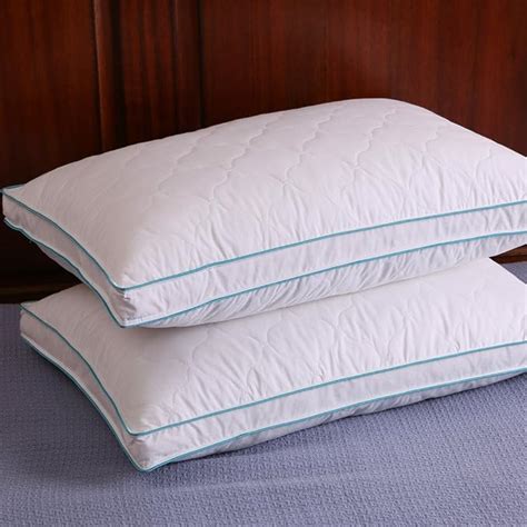 Amazon.com: Down and Feather Pillow Bed pillows, Double Layered Fabric ...