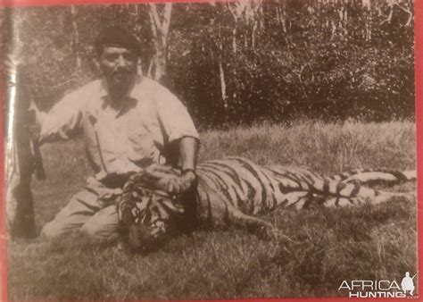 Bangladesh Hunting Royal Bengal Tiger | AfricaHunting.com