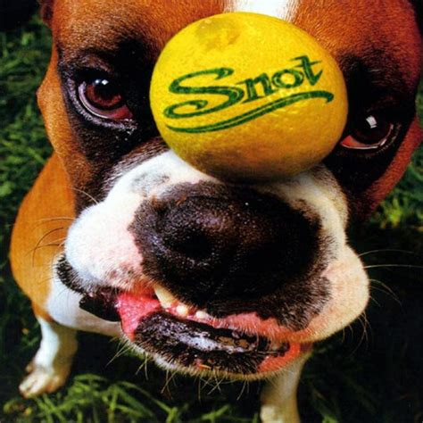 Disco Inmortal: Snot – Get Some (1997) - Nación Rock