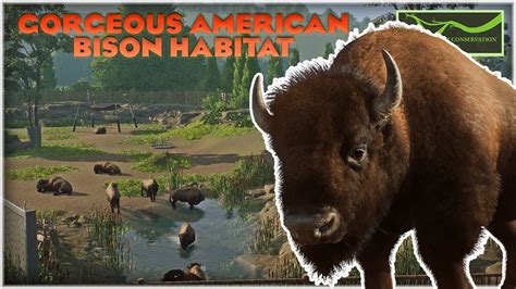 Beautiful American Bison Habitat | City Conservation Center - YouTube