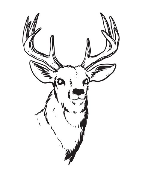 a hand drawn illustration of the deer with strong antlers. a deer in ...