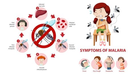 Malaria: Symptoms, Causes, Diagnosis, Treatment, Prevention and Diet – NutritionFact.in