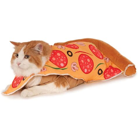 9 Best Cat Halloween Costumes | The Family Handyman