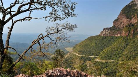 Conheça o Parque Nacional São Joaquim - Portal