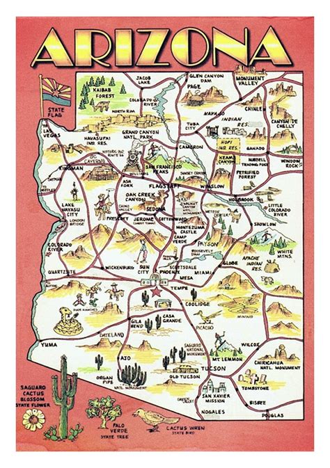 Detailed travel illustrated map of Arizona state Poster 20 x 30-20 Inch ...