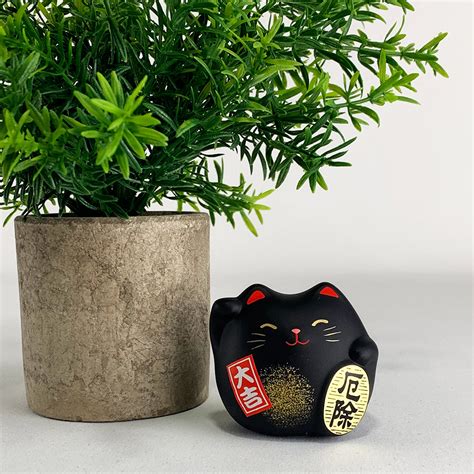 Feng Shui Cat for Good Fortune and Luck - DharmaCrafts