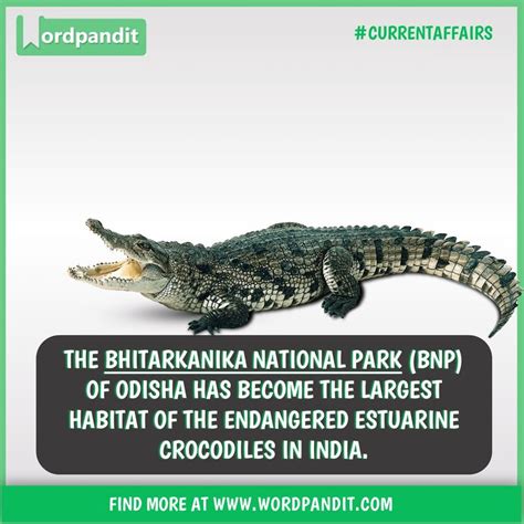 The Bhitarkanika National Park (BNP) of Odisha has become the largest habitat of the endangered ...