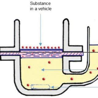 Franz diffusion cell system. | Download Scientific Diagram