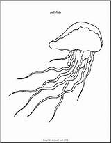 Coloring Page Kelp Forest Set 1 – Abcteach sketch template