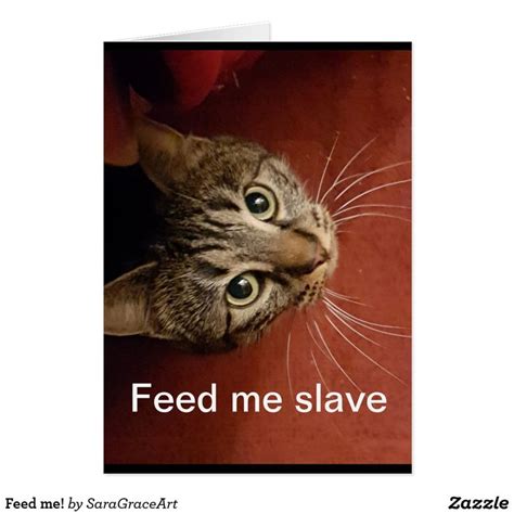 Feed me! | Cat gifts, Cats, Cats and kittens