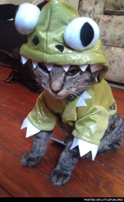 LittleFun - Cat in a dragon costume