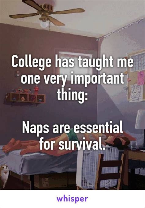 College has taught me one very important thing: Naps are essential for… | College quotes funny ...