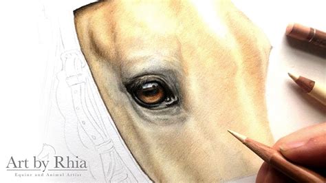 Horse Eye Drawing