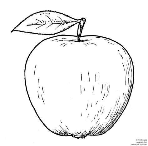 Drawing of apple – drawing-of.eu