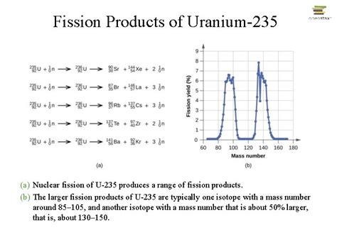 Nuclear Stability and Radioactive Decay Thermodynamic Stability of