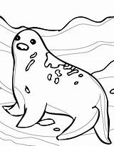 Arctic Animals Coloring Pages At GetColoringscom  Free Printable sketch template
