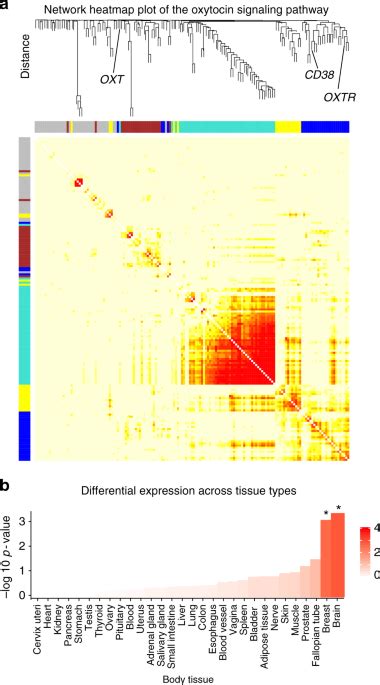 Oxytocin pathway gene networks in the human brain | Nature Communications