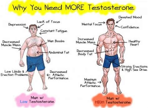 Testosterone Deficiency in Men