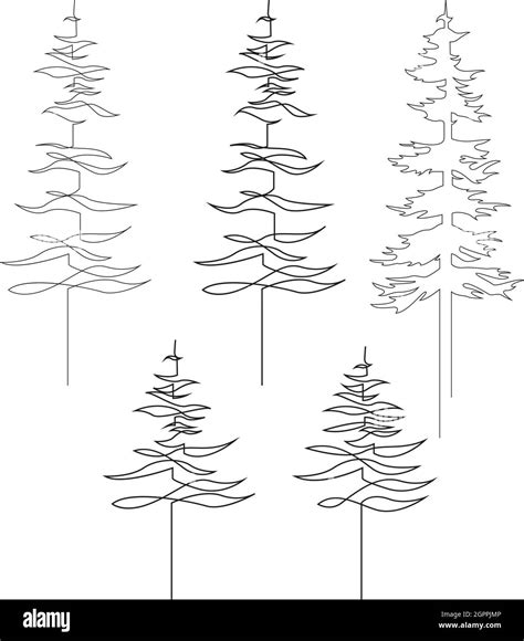 Continuous line drawing of pine. Fir-tree collection. Black isolated on white background. Hand ...