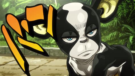 Image - Iggy prepares for battle.png | JoJo's Bizarre Encyclopedia | FANDOM powered by Wikia