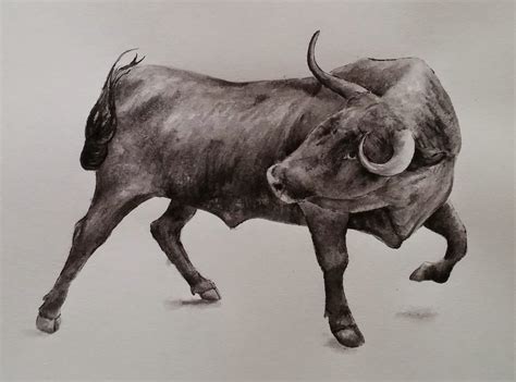 Masseu Learns To Sketch: Bull drawing-painting