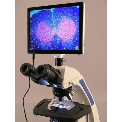 AmScope 40X-2500X Infinity Plan Laboratory Compound Microscope with LC – Microscope Central