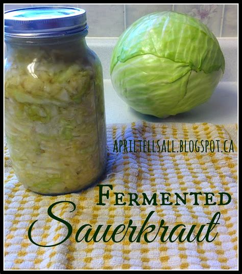 Fermented Sauerkraut | April Tells All