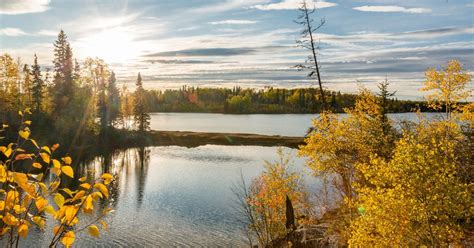 Boreal Forest | TNC Canada