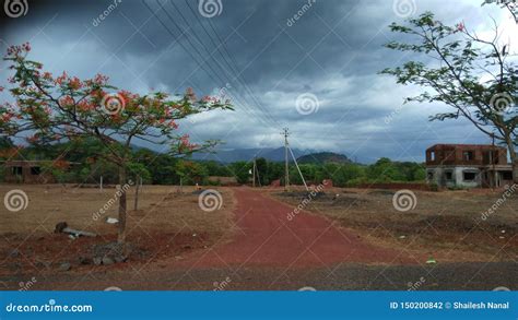 Monsoon in Konkan-5 stock photo. Image of trees, landscape - 150200842