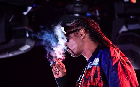 Snoop Dogg reveals 'giving up smoke' was an ad campaign ... for a fire pit