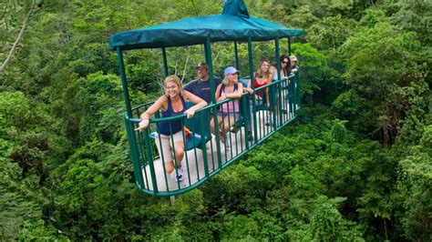 Rainforest Aerial Tram St. Lucia Tour - KSK Tours