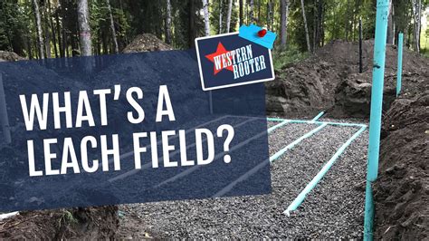 What's A Leach Field & How Do They Work? - Western Rooter & Plumbing