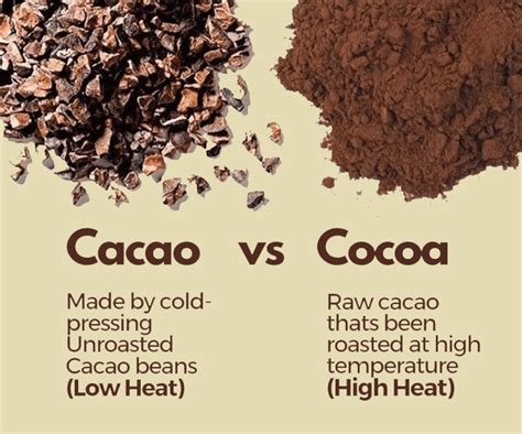 Cacao Butter Vs Cocoa Butter: What You Didn't Know![2024]