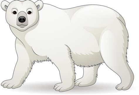 oso polar de dibujos animados | Oso polar, Oso polar animado, Oso polar ...