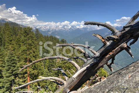 Moro Rock, Sequoia National Park Stock Photo | Royalty-Free | FreeImages