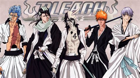 Bleach - Bleach Anime Photo (35351956) - Fanpop