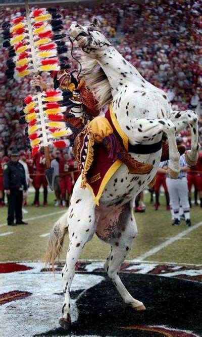 9 Florida state mascot ideas | florida state, florida state seminoles football, florida state ...