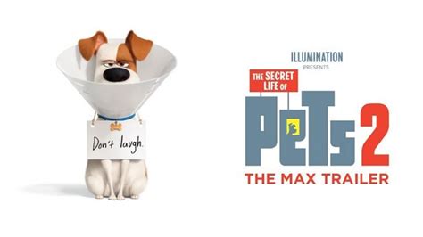 Behind The Thrills | First trailer for The Secret Life of Pets 2 re-introduces us to Max Behind ...