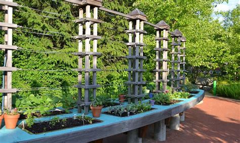 Raised Bed Trellis Ideas For Saving Space - Epic Gardening