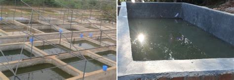 How to Build a Fish Pond with Concrete | Agri Farming