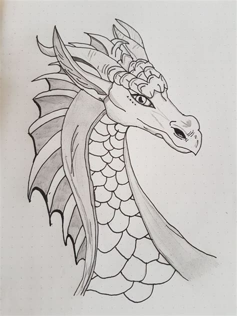 Dragon draw | Cool dragon drawings, Dragon drawing, Dragon sketch