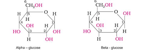 Alpha And Beta Glucose Ring Structure