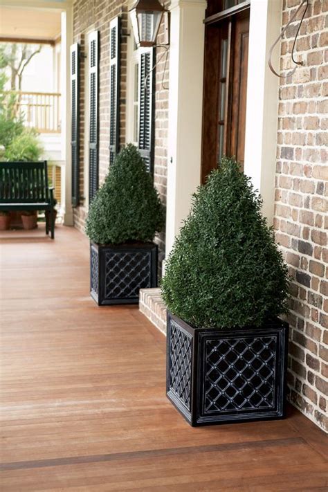 20+30+ Plants For Entrance Door – HOMYRACKS