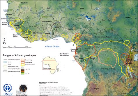 African Great Apes Habitat Range Map - Sub-Saharan Africa • mappery