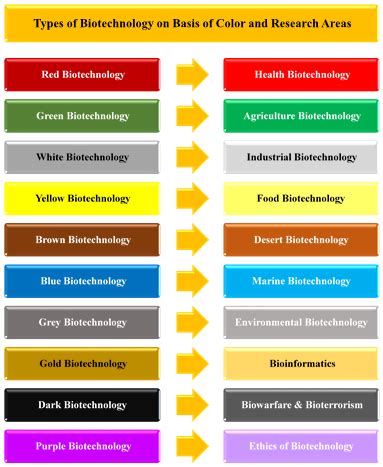 Biotechnology with its Types and Modern Approaches | by Muhammad Hammad Ahmad | Medium