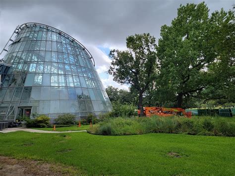 Cockrell Butterfly Center Emerges this Spring | BEYONDbones